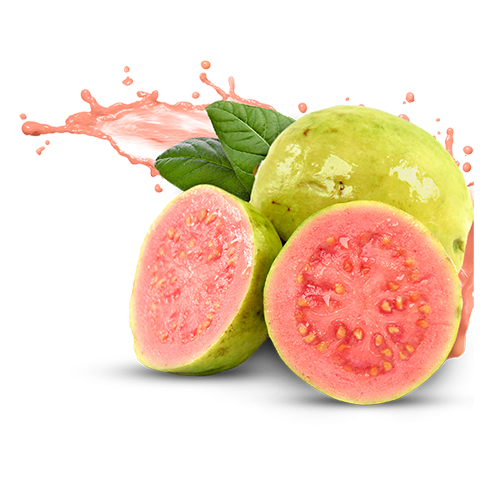 Guava 